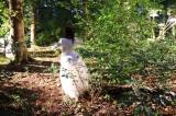 Sous bois 22 * 5184 x 3456 * (10.84MB)